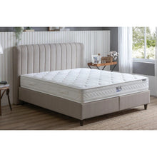 Afbeelding in Gallery-weergave laden, YATAS Blue Star