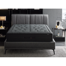 Afbeelding in Gallery-weergave laden, YATAS Black Ice